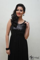 Sadha at Yamaleela 2 Movie Audio Launch